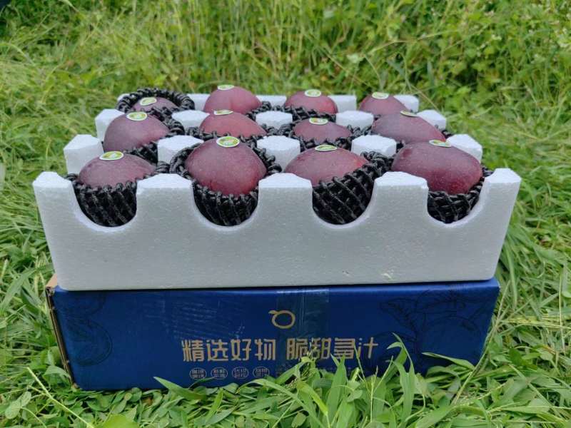 云南黑卡苹果一件代发产地直发一手货源对接各大电商平台
