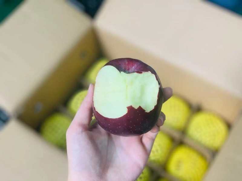 云南黑卡苹果一件代发产地直发一手货源对接各大电商平台