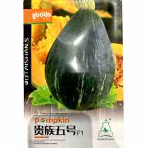贵族五号南瓜种子早中熟香甜肉厚丑瓜基地品种