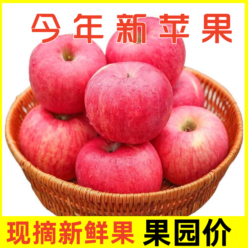 〈一件代发〉2025陕西膜袋嘎啦红富士苹果对接各大电商