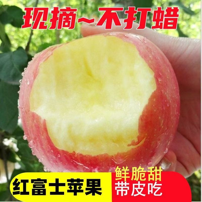 〈一件代发〉2025陕西膜袋嘎啦红富士苹果对接各大电商