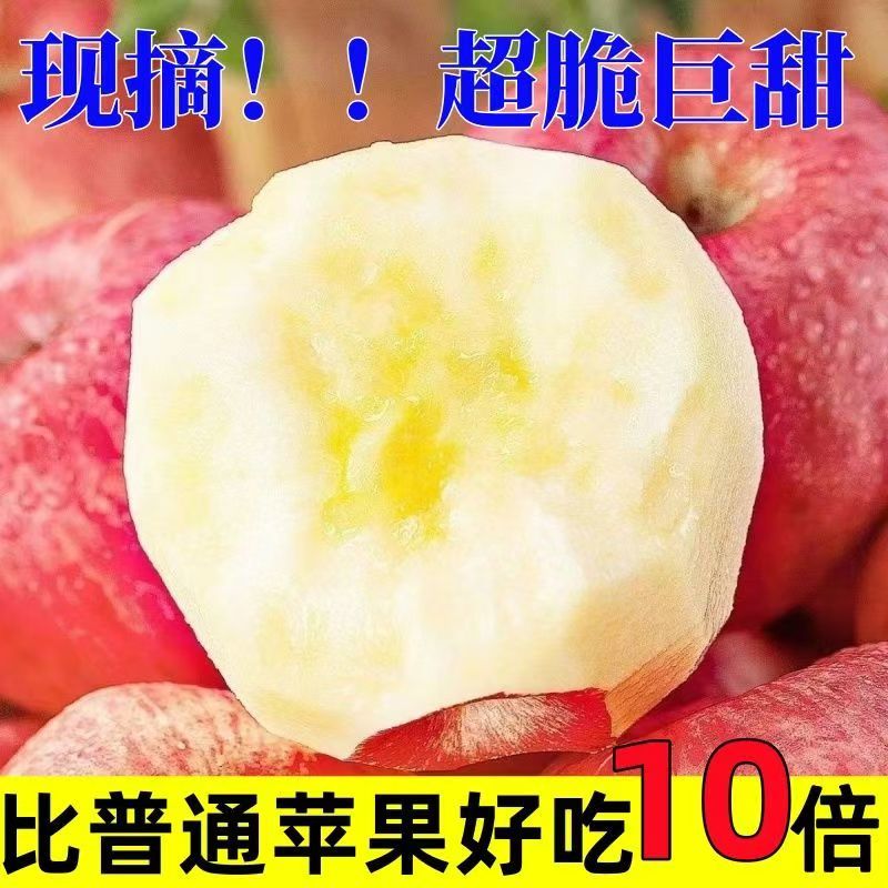[一件代发]2025陕西红富士对接电商各大渠道