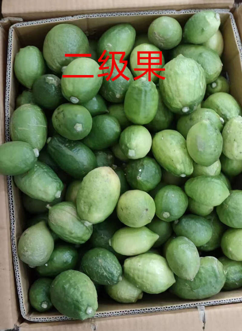 海南香水柠檬一件代发产地直发一手货源对接各大电商平台