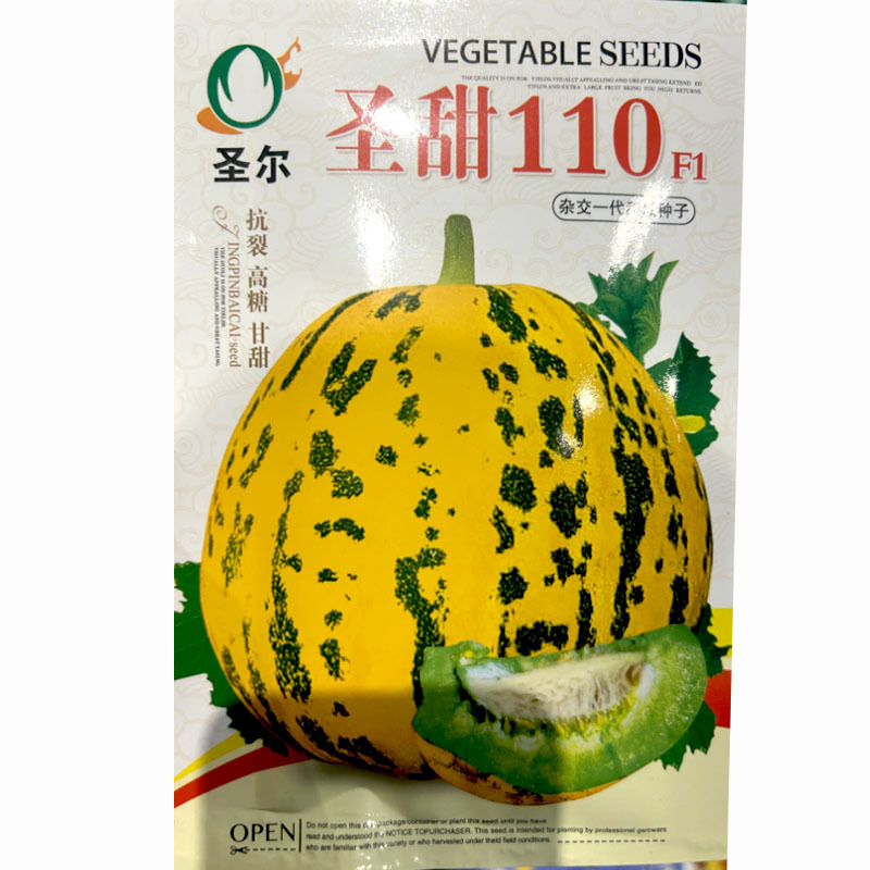 圣甜110甜瓜种子高糖新品种特甜大果八里香甜瓜种籽花皮绿