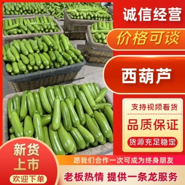 【山东】绿皮西葫芦大量上货保质保量诚信经营
