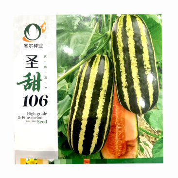 圣甜106中早熟抗裂耐运输坐果后38天上市甜瓜种子