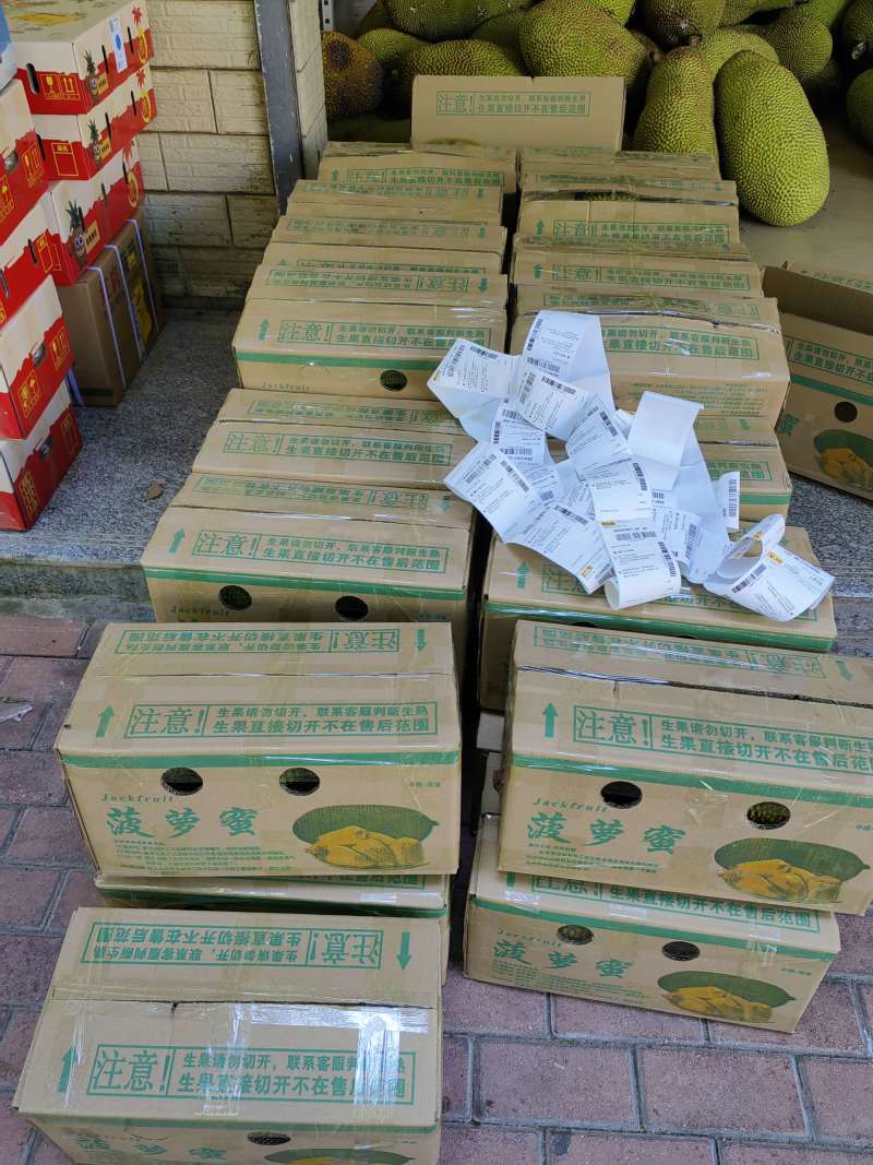 海南黄肉菠萝蜜一件代发产地直发一手货源对接各大电商平台