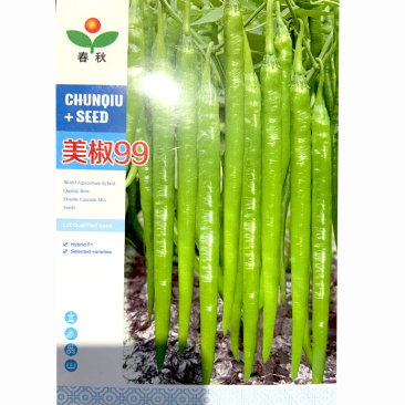 美椒99线椒种子顺直光亮辣味浓连续座果强果多果实翠绿