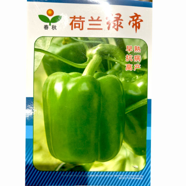荷兰绿帝甜椒种子春秋季播方椒圆椒彩椒大田大棚基地蔬菜