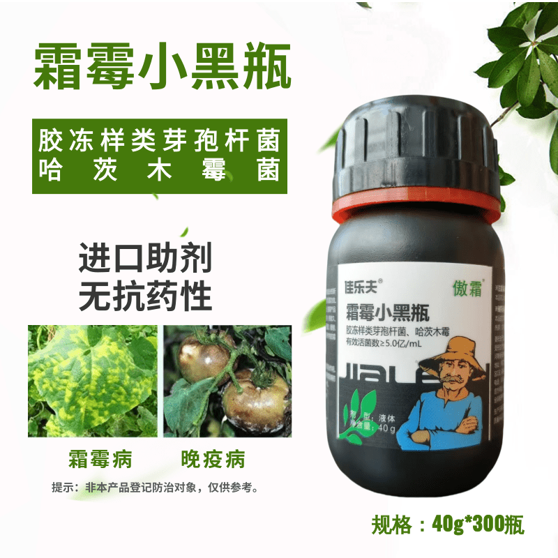 佳乐夫霜霉小黑瓶霜霉病晚疫病早疫病黄瓜番茄辣椒土豆治疗