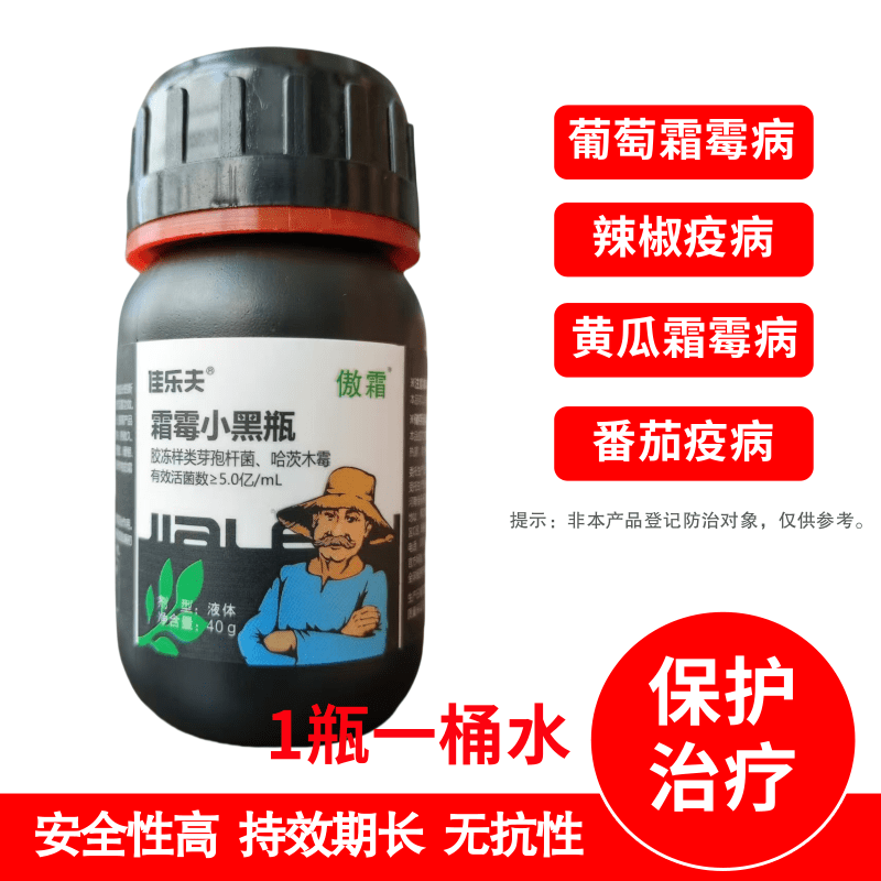 佳乐夫霜霉小黑瓶霜霉病晚疫病早疫病黄瓜番茄辣椒土豆治疗