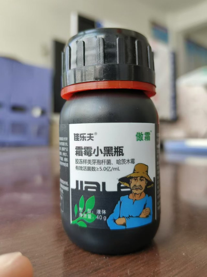 佳乐夫霜霉小黑瓶霜霉病晚疫病早疫病黄瓜番茄辣椒土豆治疗