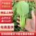 【推荐】油菜/上海青/大量有货/长期供应/欢迎来电详谈