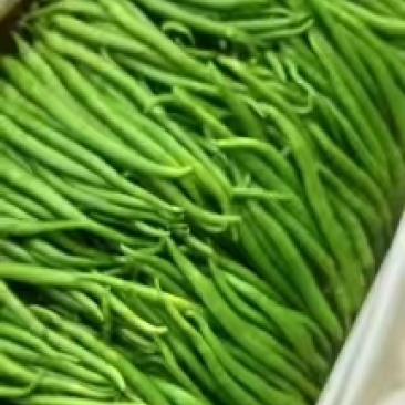 精品线椒5号产地直发条直包绿量大从优欢迎换购