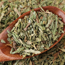 厂家直销侧柏叶粉白转黑侧柏叶洗头粉磨粉中药粉批发