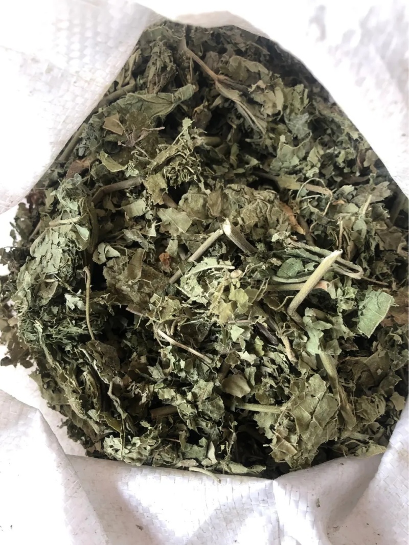 厂家直销芙蓉叶粉新货散装地芙蓉细粉中药粉