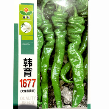 韩育1677螺丝椒种子辣椒种子超大果拢椒皮薄早熟螺丝椒种