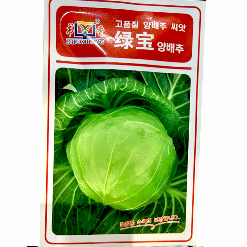 书香绿宝甘蓝种子早熟圆球甘蓝深绿色春秋露地栽培