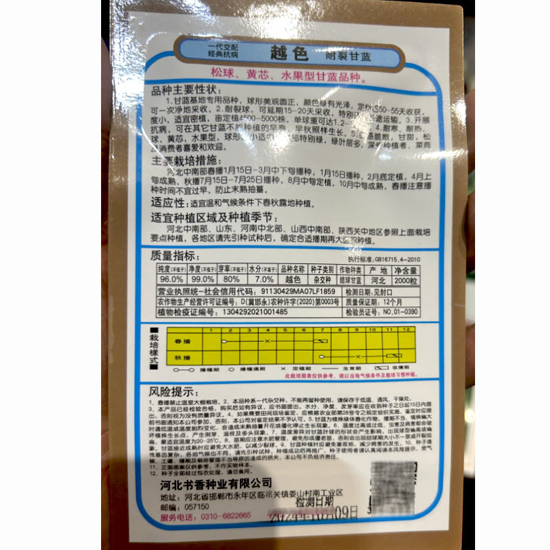 一代交配越色甘蓝种子松球耐裂黄芯水果型早春大田基地种