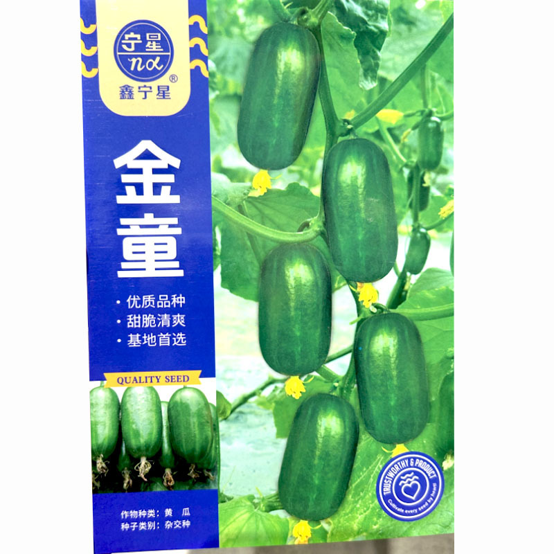 水果黄瓜种子金童迷你小黄瓜四季盆栽坐果强基地品种