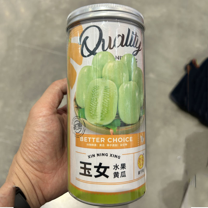 水果黄瓜种子玉女黄瓜杂交种迷你型节节有瓜产量高早春种