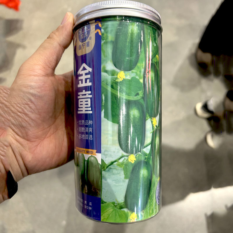 金童水果黄瓜种子迷你小黄瓜节节有瓜杂交大田基地品种