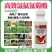 2.5%高效氯氟氰菊酯农药蔬菜果木杀虫剂菜青虫蚜虫棉铃虫