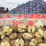 【新货5斤/袋】云南薄皮核桃批发基地直发价格优惠品质保证