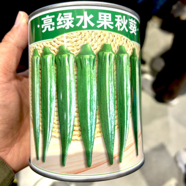 进口亮绿水果秋葵种子春夏季蔬菜种籽杂交高产种孑基地精选
