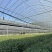 高端农膜东大牌5层纳米po标准8丝1.1规格齐全！
