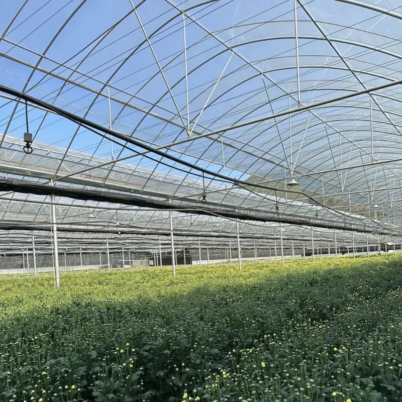 高端农膜东大牌5层纳米po标准8丝1.1规格齐全！