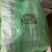 【精选】云南意大利生菜散叶生菜可按需包装11公斤装