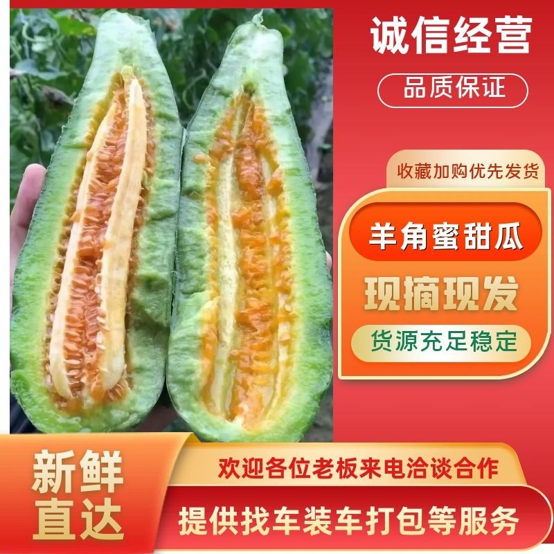 羊角蜜长年供应，直供团购，电商批发商