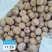【精品】新疆核桃精品185纸皮核桃今年新品手捏即开