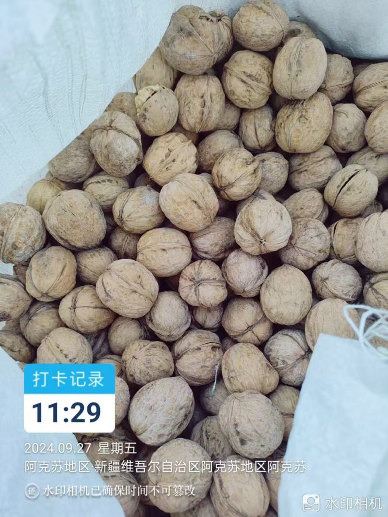 【精品】新疆核桃精品185纸皮核桃今年新品手捏即开
