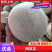 网纹，美华，网五，啊鲁斯等大量现货，对接电商团购批发商