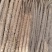 【推荐】麻山荮精品山药产地直发一手货源欢迎致电