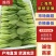 【热卖推荐】精品上海青常年供应质量保证一手货源全国发货