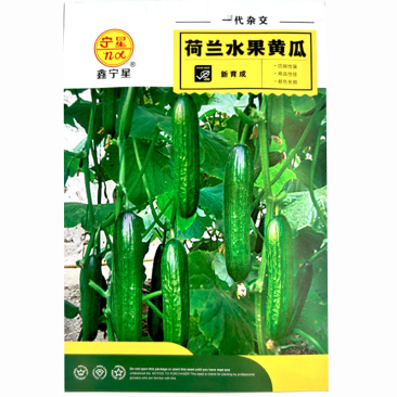 荷兰水果黄瓜种子强雌抗病强节节有瓜亮绿色基地大棚品种