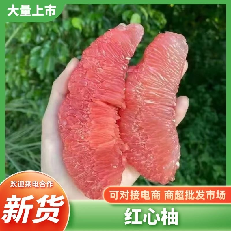 红心柚柚子四川柚子产地直发品质保障对接商超市场等
