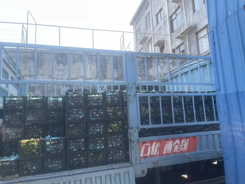活珠子商丘活珠子价格实惠保质保量货源充足可视频看货
