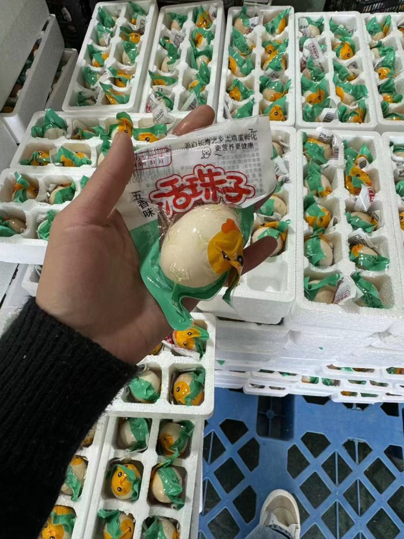 活珠子商丘活珠子价格实惠保质保量货源充足可视频看货