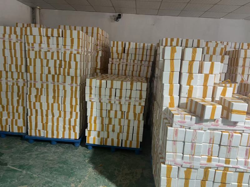 活珠子商丘活珠子价格实惠保质保量货源充足可视频看货
