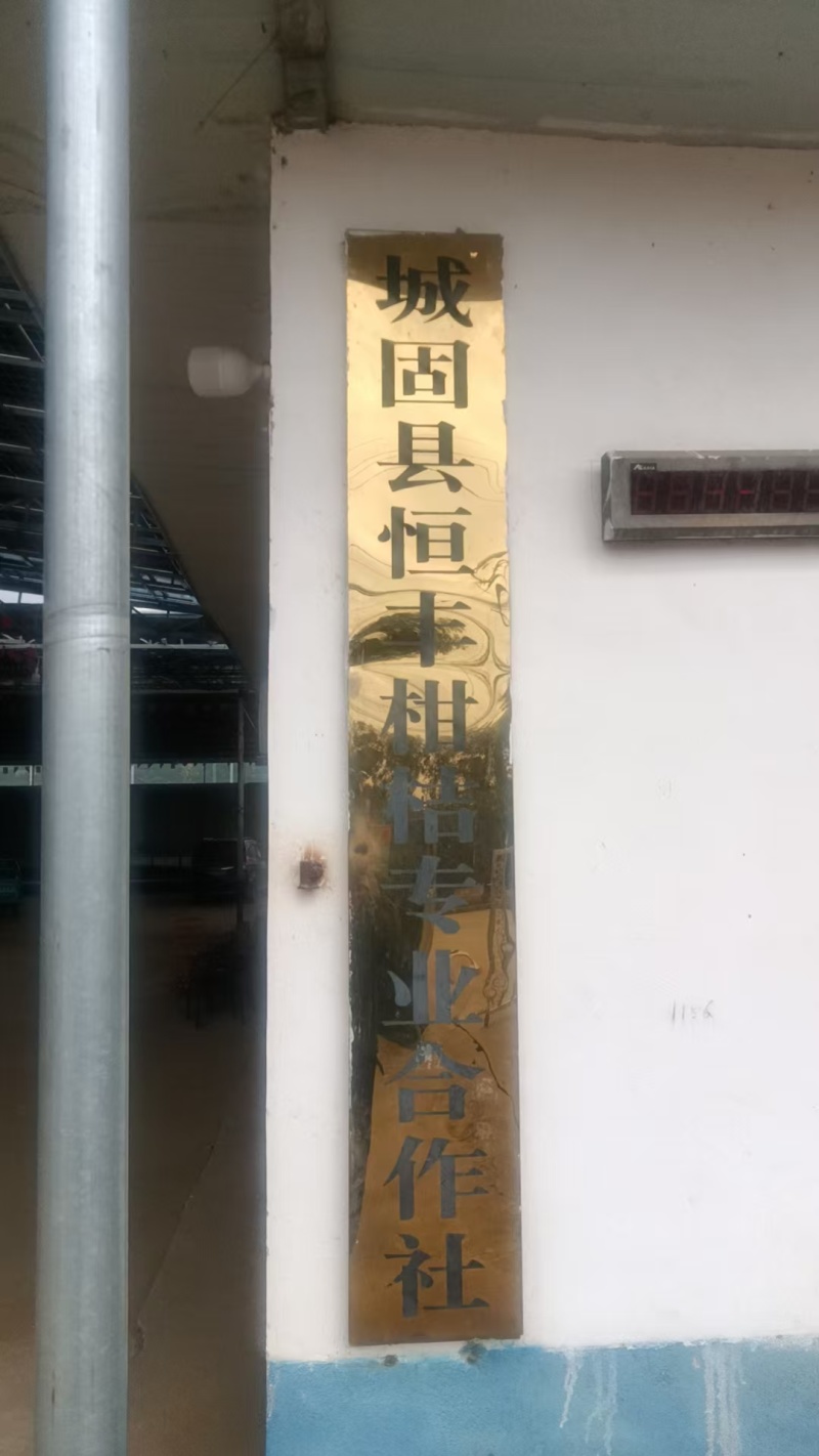 【店家推荐】城固优质蜜橘商家发货快质量有保证快来选购