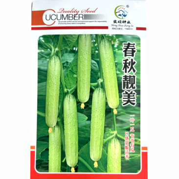 白黄瓜种子春秋靓丽早熟长势强节瓜多基地品种