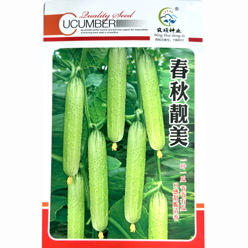 白黄瓜种子春秋靓丽早熟长势强节瓜多基地品种
