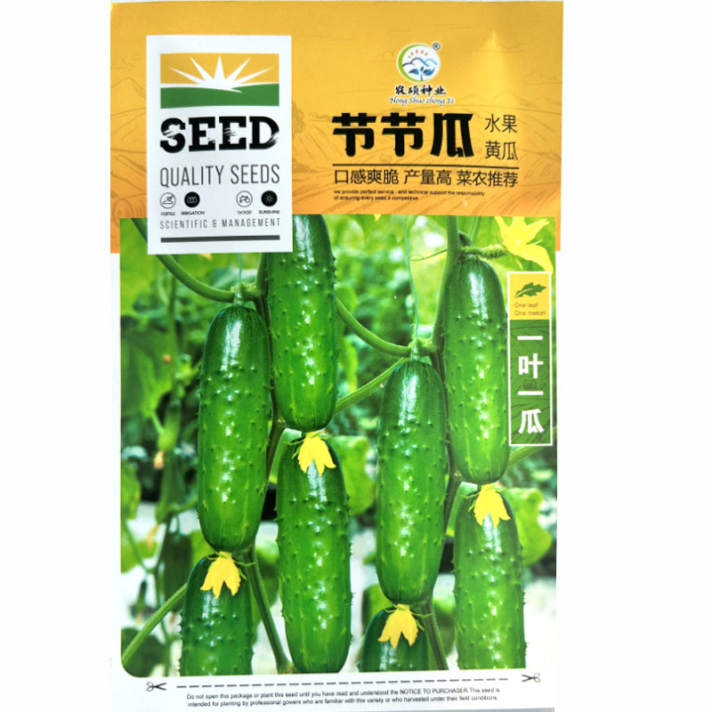 水果种子节节有瓜中早熟瓜条棒形皮薄味浓春夏秋露地