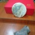 福建老白茶一件包邮品种齐全品质保障资质齐全欢迎前来选购