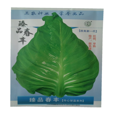 臻品春丰甘蓝种子改良新一代卷心包菜牛心甘蓝种子