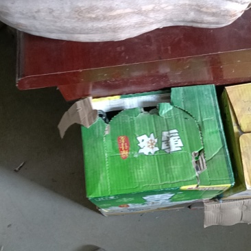 【金韩密本】南瓜大量上市欢迎老板联系电话联系欢迎